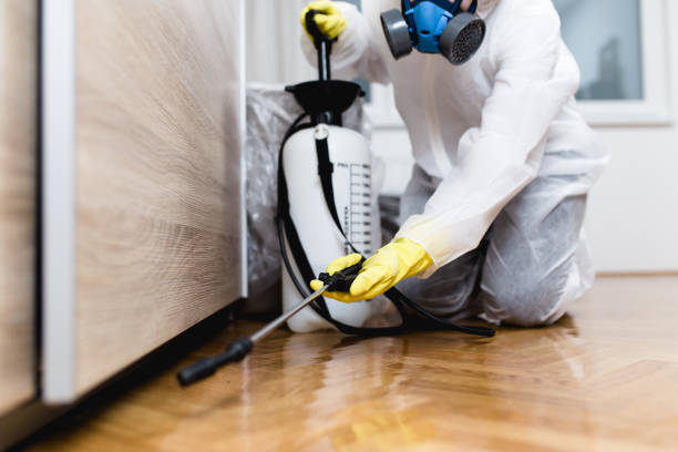 Best Bed Bug Extermination  in Mill Plain, CT