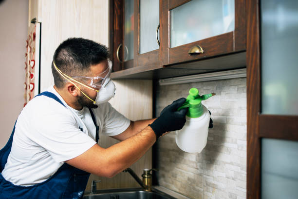 Best Commercial Pest Control Services  in Mill Plain, CT