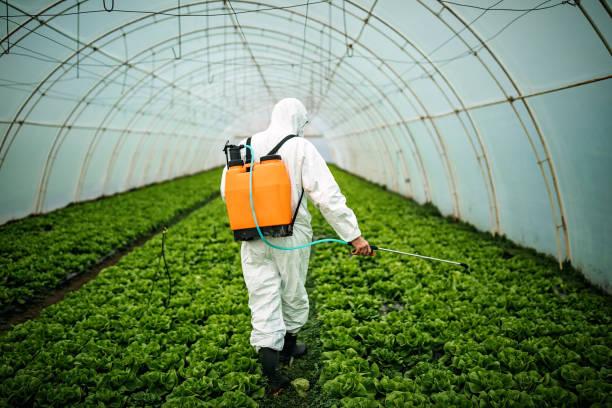 Best Ant Control Services  in Mill Plain, CT