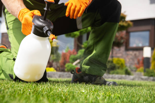 Best Best Pest Control Companies  in Mill Plain, CT