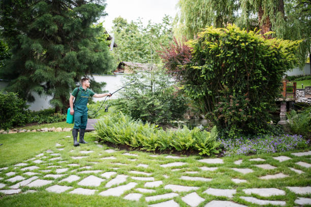 Best Wasp Removal Services  in Mill Plain, CT