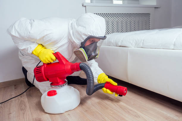 Best Emergency Pest Control  in Mill Plain, CT