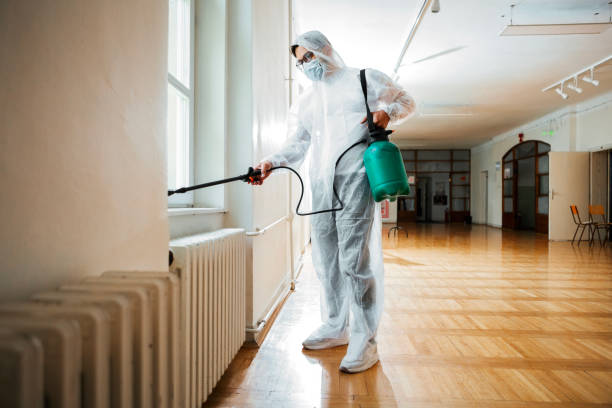 Best Mosquito Control Services  in Mill Plain, CT